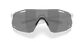 Oakley Cybr Dyno Sport Zonnebril Mat Grijs met Prizm Black Lens