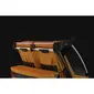 Thule Chariot Sport 2 G3 Fietskar Goud