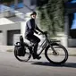 Thule Chasm Bin Inlock 25L Fietstas Zwart