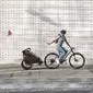 Thule Chariot Lite Single Fietskar Groen