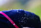 Sportful Fiandre Light Norain Fietsshirt Lange Mouwen Zwart Heren