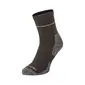 SEALSKINZ Morston Solo QuickDry Ankle Sokken Zwart/Grijs — afbeelding 1