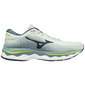 Mizuno Wave Sky 5 Hardloopschoenen Groen/Blauw Heren