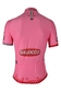 Santini Giro d`Italia Roze Leiderstrui 2013