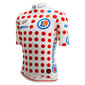 Santini Relica Tour De France GPM Leader Fietsshirt Korte Mouwen Bollen Heren