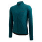 Santini Colore Puro Thermal Fietsshirt Lange Mouwen Groen Heren