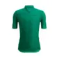 Santini Colore Puro Fietsshirt Korte Mouwen Groen Heren