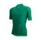 Santini Colore Puro Fietsshirt Korte Mouwen Groen Heren