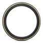 VREDESTEIN Superpasso PRO Cotton TLR Racefiets Band Zwart/Wit — afbeelding 3