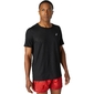ASICS Ventilate Hardloopshirt Korte Mouwen Zwart Heren