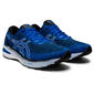 ASICS GT-2000 10 Hardloopschoenen Blauw/Wit Heren