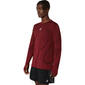 ASICS Road Seamless Hardloopshirt Lange Mouwen Donkerrood Heren