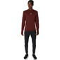 ASICS Road Winter Seamless Hardloopshirt Lange Mouwen Donkerrood Heren