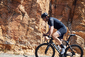 GORE Wear C5 Optiline Fietsshirt Korte Mouwen Zwart/Wit Heren