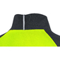 GORE Wear C5 Gore-Tex Active Fietsjack Zwart/Neon Geel Heren