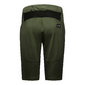 GORE Wear Fernflow MTB Fietsbroek Kort Groen Heren