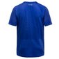 GORE Wear R5 Hardloopshirt Korte Mouwen Blauw Heren