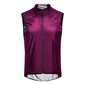 GORE Wear Ambient Windvest Paars/Zwart Heren