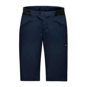 GORE Wear Fernflow MTB Fietsbroek Kort Blauw Heren