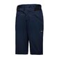 GORE Wear Fernflow MTB Fietsbroek Kort Blauw Heren