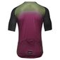 GORE Wear Grid Fade 2.0 Fietsshirt Korte Mouwen Groen Heren