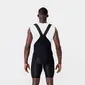 GORE Wear Fernflow Liner Fietsbroek Kort Zwart Heren