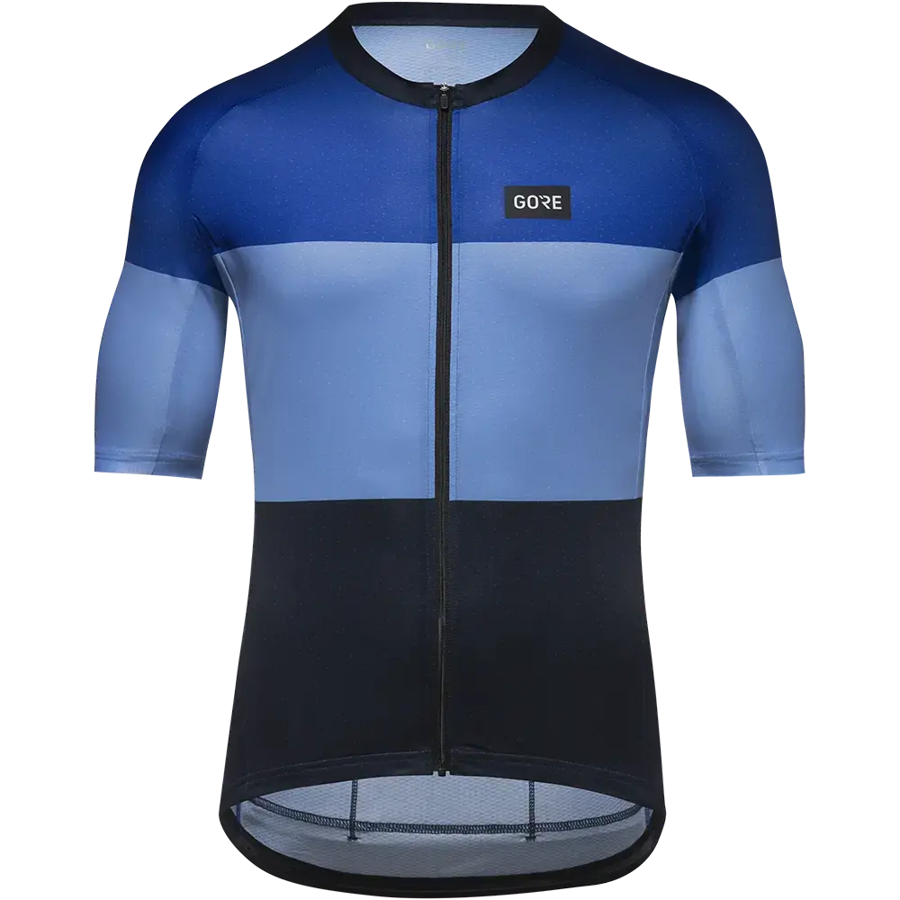GORE Wear Spirit Stripes Fietsshirt Korte Mouwen Blauw/Blauw Heren