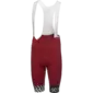 GORE Wear Swiftride Optical Fietsbroek Kort Rood Heren