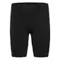 GORE Wear Concurve Hardloopbroek Kort Zwart Heren