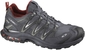 Salomon XA Pro 3D Ultra GTX Heren Hardloopschoenen Grijs