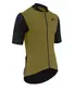 Assos MILLE GTO C2 Fietsshirt Korte Mouwen Bruin/Groen Heren