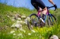 Northwave Fast Fietsbroek Kort Zwart Heren 