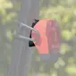 Lezyne D-Shape Zadelpen Adapter voor KTV/Strive Drive Achterlichten Zwart