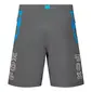 Fox Ranger Digi Image MTB Fietsbroek Kort Grijs/Blauw Heren