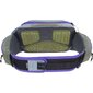 Evoc Hip Pack Pro 3L Heuptas Groen/Paars/Grijs