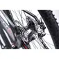 Cube Reaction GTC SL 29 Carbon´n´flashred Mountainbike