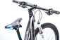 Cube LTD Pro 29 Blackline Mountainbike