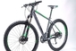 Cube Analog 29 Grey´n´black´n´green Mountainbike