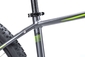 Cube Analog 29 Grey´n´black´n´green Mountainbike