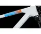 Cube Reaction C:62 Pro Mountainbike Wit/Blauw/Rood Heren