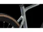 Cube Axial WS GTC Pro Racefiets Grijs/Carbon Dames