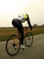 Davanti België Fietsshirt Heren