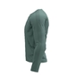 Compressport Training Hardloopshirt Lange Mouwen Groen Heren