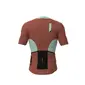 RH+ Nomad Pro Fietsshirt Korte Mouwen Bruin Heren