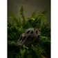 Spiuk GRIZZLY MTB Fietshelm Mat Zwart
