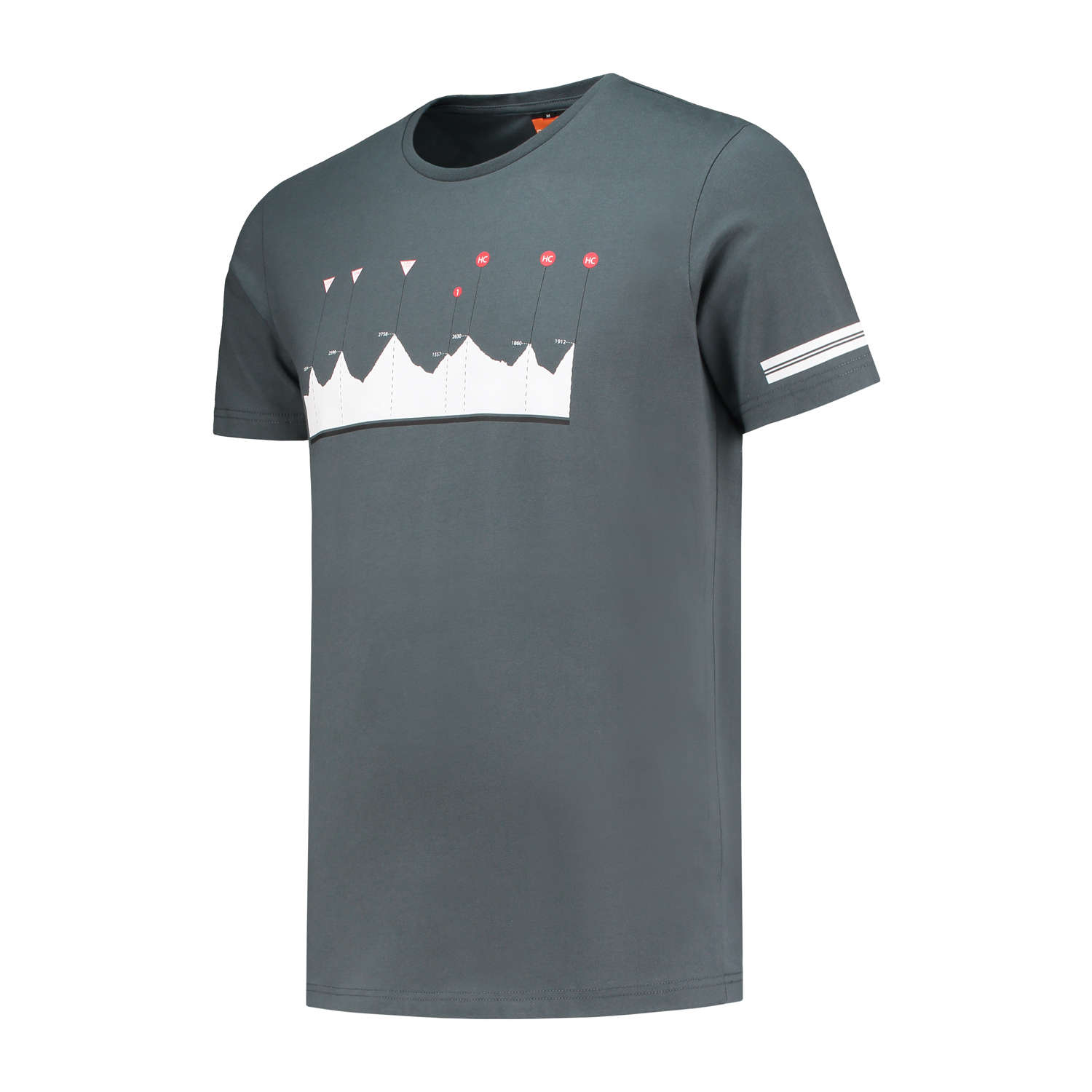 FUTURUM KOMFRT T-Shirt A Climber's Heaven Grey