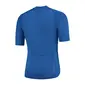 FUTURUM JONA Merino Fietsshirt Korte Mouwen Blauw Heren