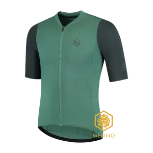 FUTURUM JORIS PRO Merino Fietsshirt Korte Mouwen Groen Heren