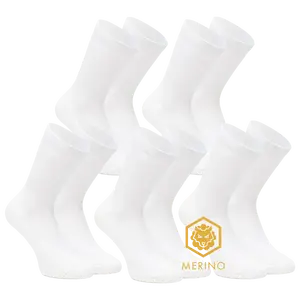 FUTURUM 4 SEASONS III Merino 5-Pack Fietssokken Wit