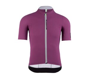 Q36.5 L1 Pinstripe X Fietsshirt Korte Mouwen Paars Heren